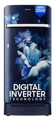 Samsung 189 L, 5 Star, Digital Inverter, Direct-Cool Single Door Refrigerator (RR21H2H25UZ/HL)